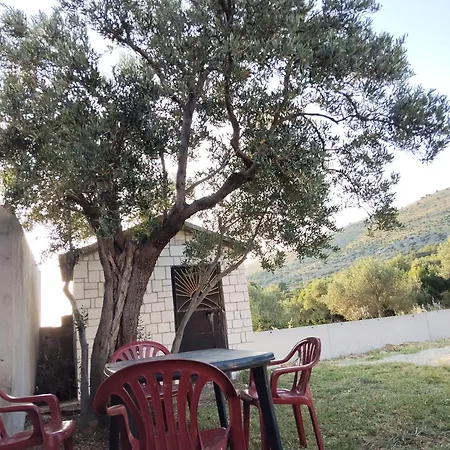 Kod Jakova *